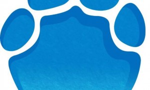 刚刚，孙杨犯规被取消成绩！张展硕夺冠，潘展乐第三