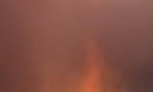 浏阳烟花秀火星掉落引发火灾,当地:迅速处置,无人员伤亡