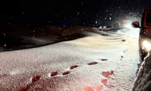 游客称因大雪在喀纳斯堵车8小时,交警凌晨仍在除雪,当地交管部门:仍有车堵在山上,救援持续进行
